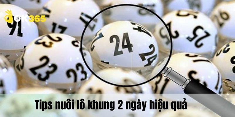 Những bật mí dễ ăn khi nuôi lô 2 ngày